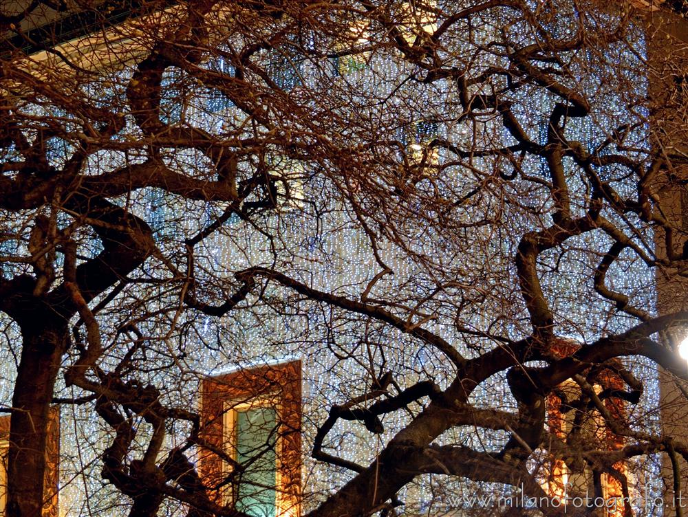 Milan (Italy) - One of the two magnolias behind the Duomo with the Rinascente in the background